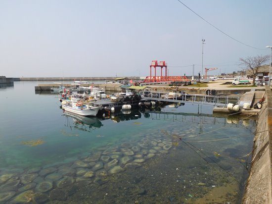 広島アジングポイント 江田島市沖見町 畑漁港