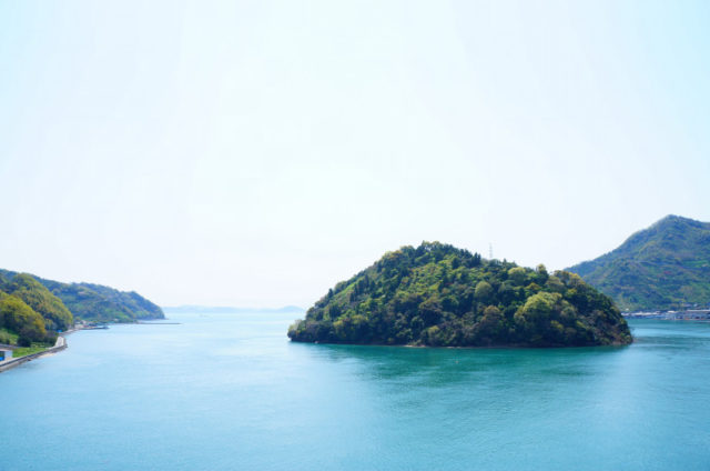 愛媛メバリングポイント 愛媛県岡村島 ゴリラ岩周辺