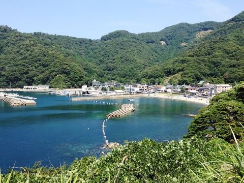 福井 アオリイカ エギングポイント 小浜市 世久見漁港 新子の数釣りが楽しめる小浜の漁港!