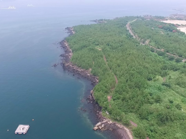 鹿児島キジハタおすすめポイント 鹿児島県 桜島地磯