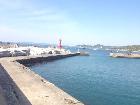 千葉アジ釣りポイント【江見港】 表層を探るだけで簡単に釣れる漁港!
