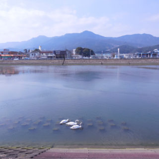 佐賀アジングポイント 唐津市 馬渡島