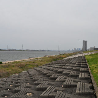 大阪チニングポイント 大阪府大阪市 淀川河口 右岸
