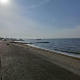 海老江海浜公園 キジハタ釣りポイントを紹介 根魚の釣果実績の高い釣り場