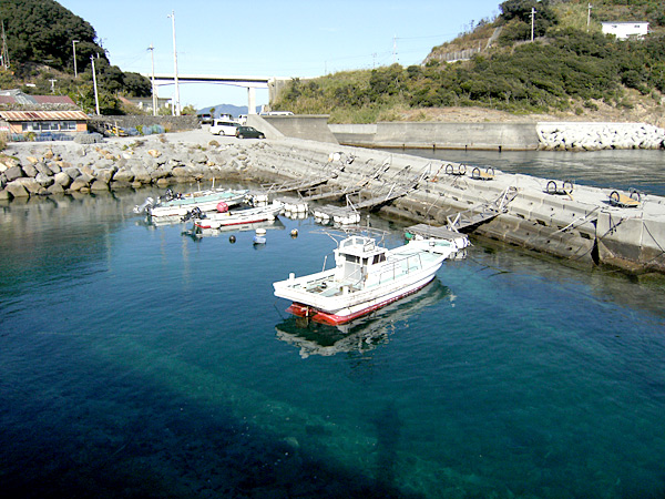 愛知ショアジギポイント 愛媛県南宇和郡愛南町 船越漁港