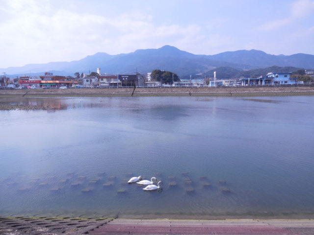 佐賀県チニングポイント 伊万里市 有田川