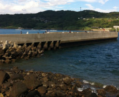 長崎県ネリゴ・ヒラスポイント 佐世保市 俵ヶ浦堤防