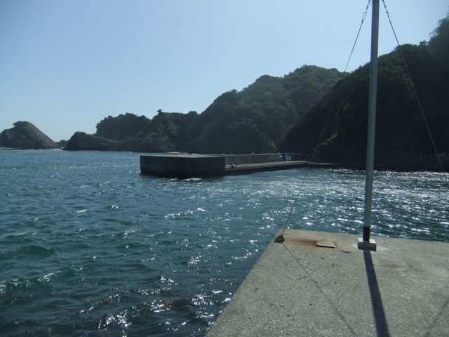 静岡エギングポイント 南伊豆町 中木漁港