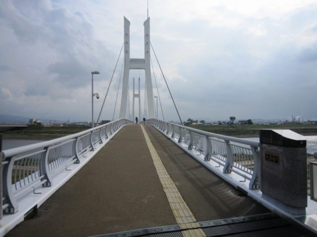 福井シーバスポイント 福井市 九頭竜川 中角歩道橋