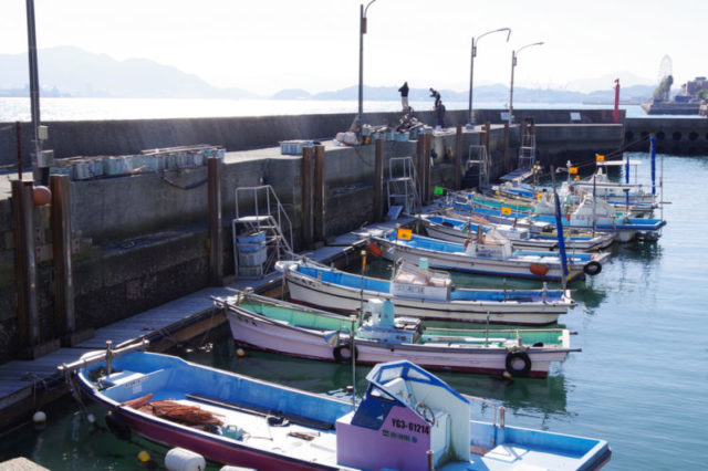山口シーバスポイント 山口県下関市 壇ノ浦漁港