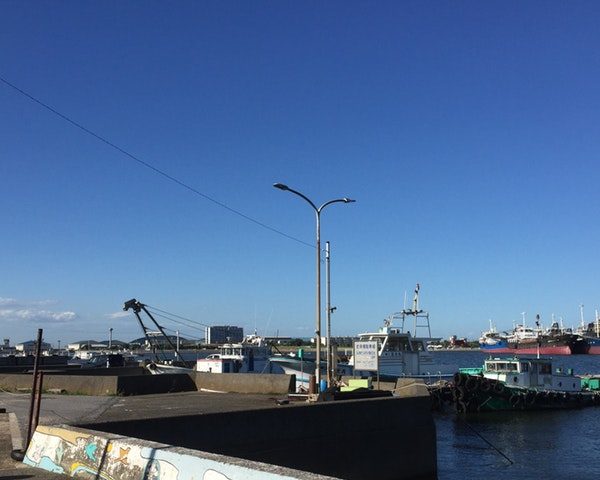 千葉シーバスポイント 千葉県木更津市 木更津港