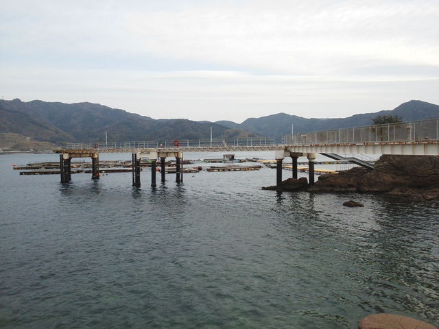 和歌山エギングポイント 日高郡 由良海釣り公園
