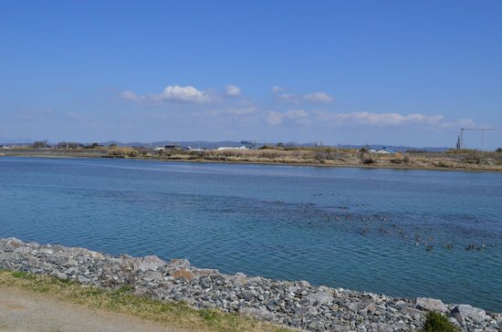静岡サーフ(マゴチ)ポイント 磐田市 太田川河口サーフ