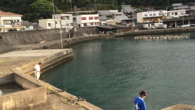 和歌山エギングポイント 日高郡由良町神谷 神谷港周辺