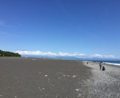 静岡青物(イナダ~ブリ)ポイント 静岡県静岡市清水区 三保海岸