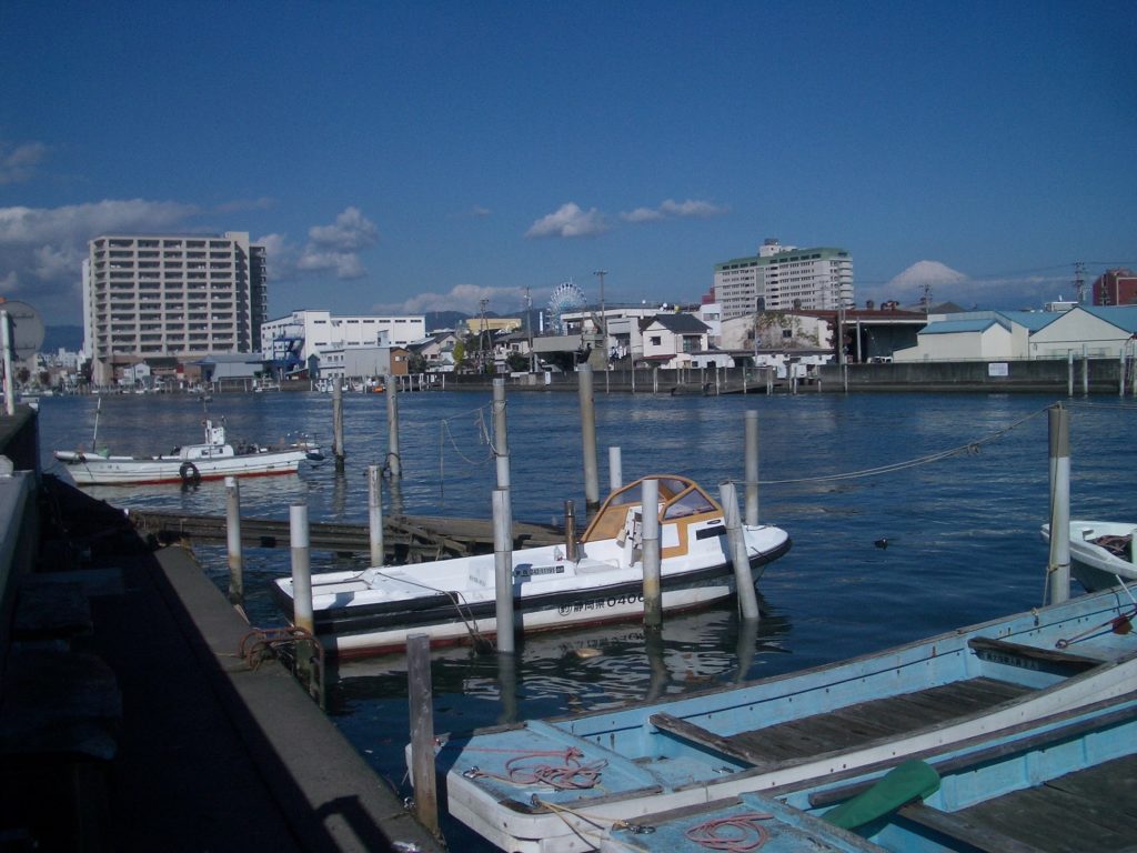 静岡チヌ釣りポイント 静岡県静岡市清水区 清水港周辺