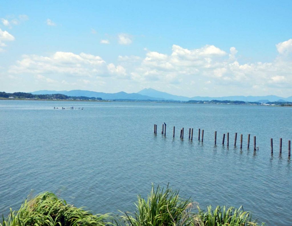 霞ヶ浦バス釣りおかっぱりポイント 東浦 本湖北岸 14選