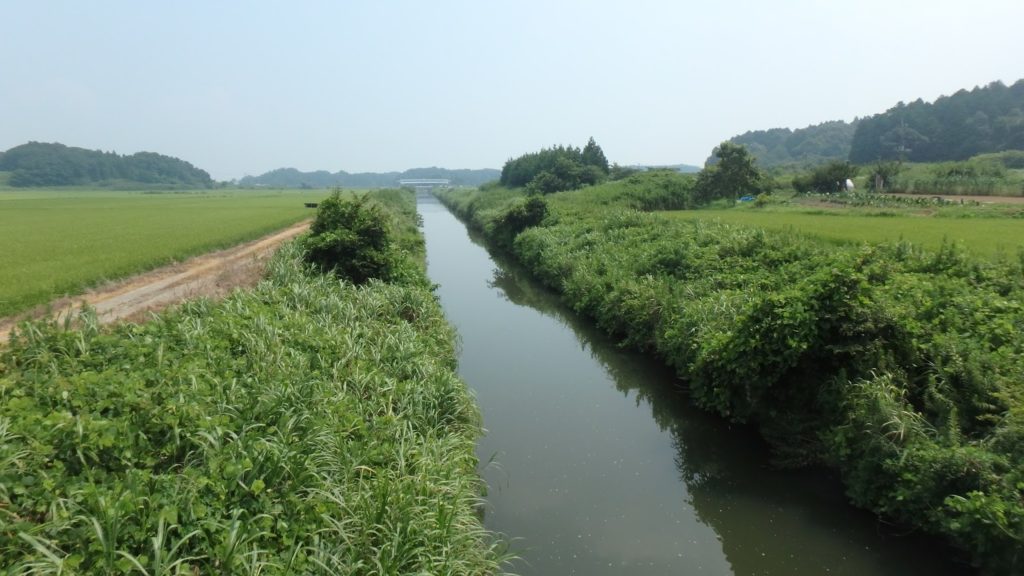 霞ヶ浦 バス釣りおかっぱりポイント 本湖南岸 おすすめ6選