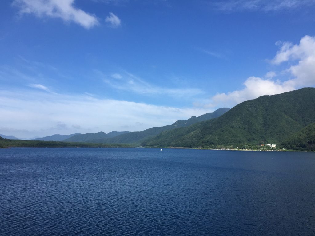 西湖 バス釣りおかっぱりポイント10選! 【永久保存版】スピナべのサイトゲームが爆発するフィールド!