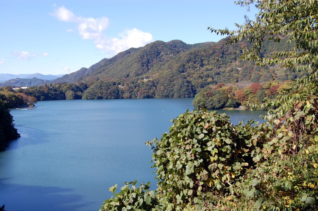 津久井 湖 おかっぱ り