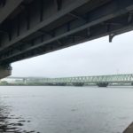 中川シーバス釣りポイント【平井大橋】を紹介します！