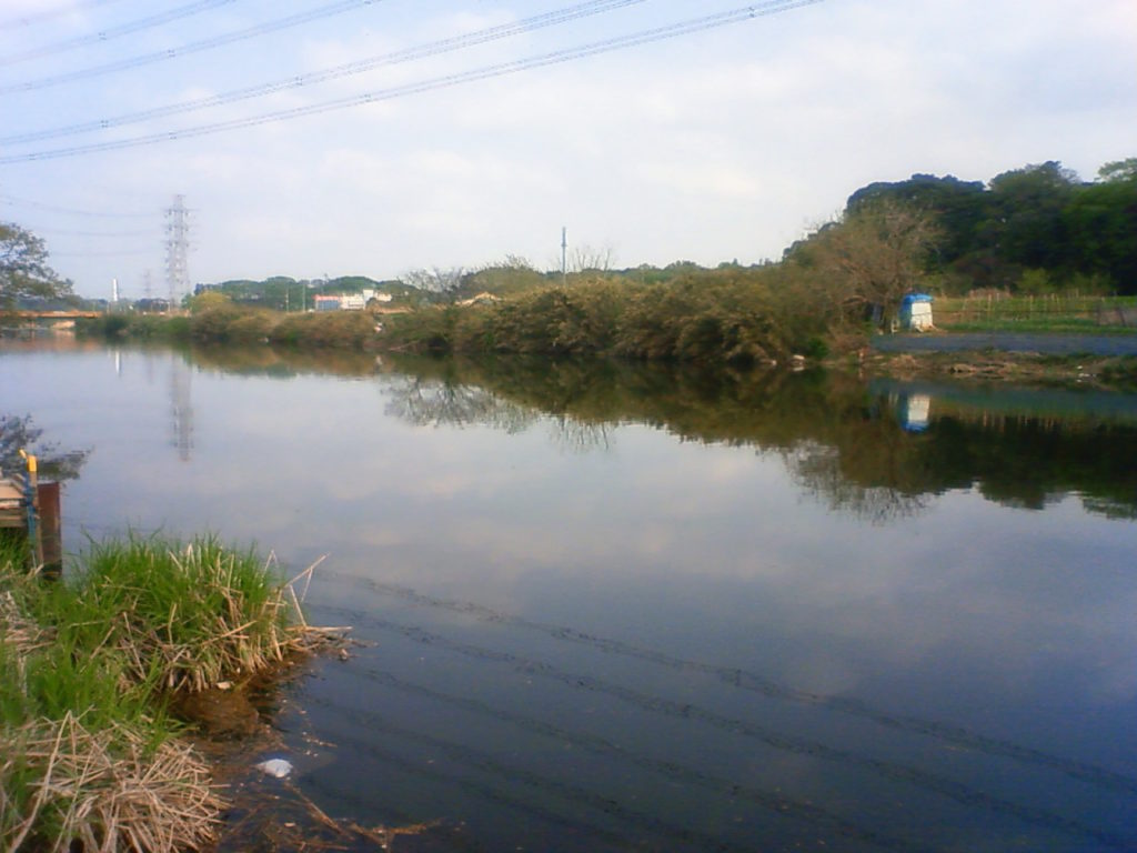 千葉シーバス釣りポイント 花見川 を紹介します