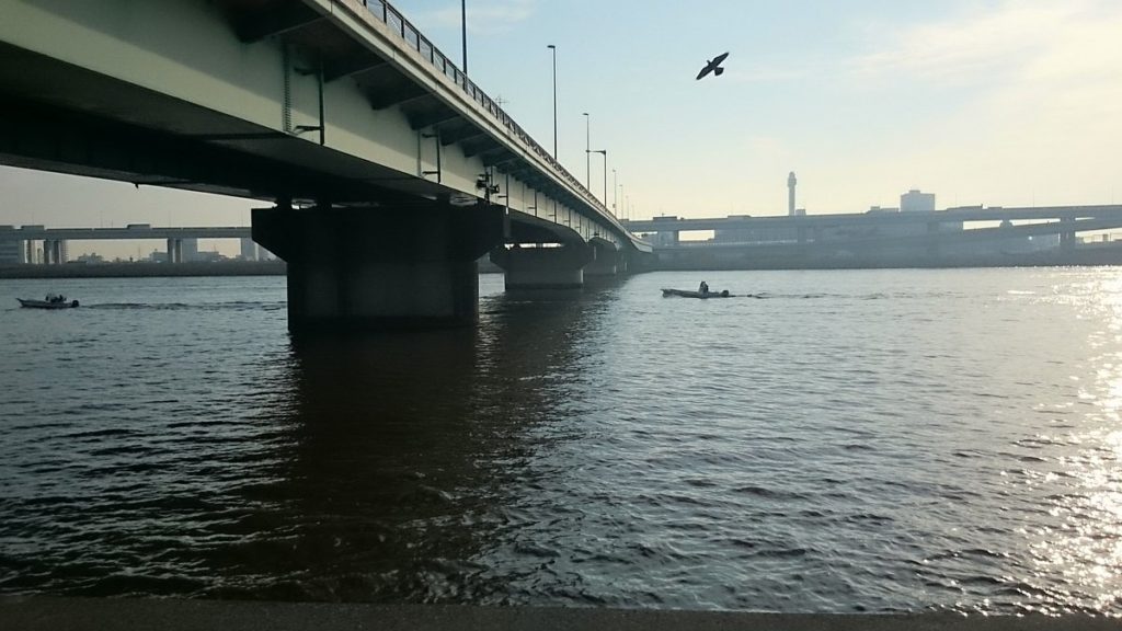 中川シーバス釣りポイント 船堀橋 を紹介します