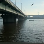 中川シーバス釣りポイント【船堀橋】を紹介します！