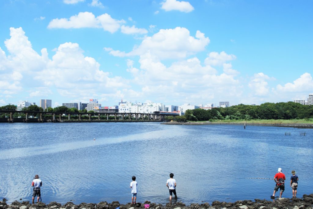 京浜運河シーバスポイント【大井ふ頭中央海浜公園】地図付きで攻略法を解説!