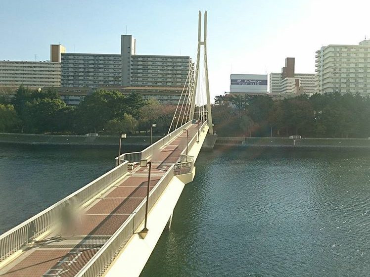 京浜運河シーバス釣りポイント かもめ橋 を紹介していきます マイクロベイトを攻略すれば二桁の釣果も可能