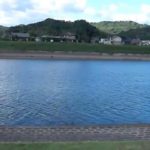 【別府川】鹿児島シーバス釣りポイント