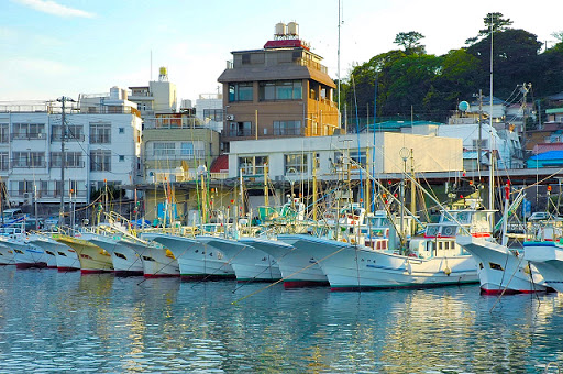 【稲取漁港】静岡シオ・サバ釣りポイントを紹介します！釣果実績大のルアーはこれ！